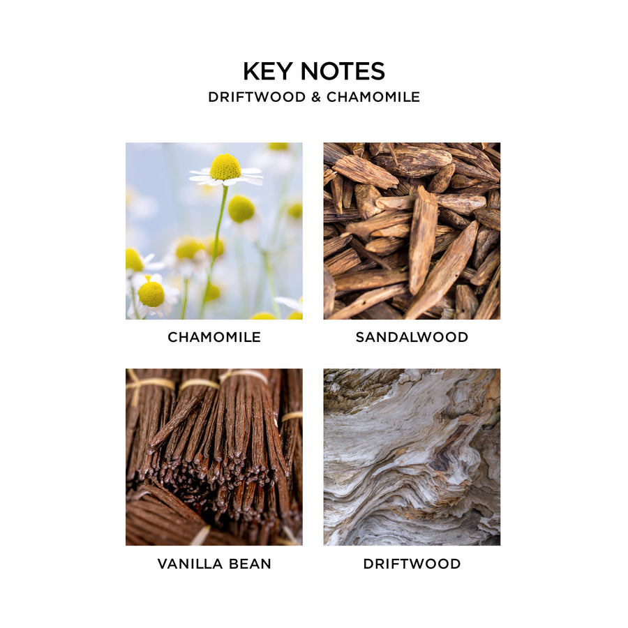 Driftwood & Chamomile Key Notes by NEST New York