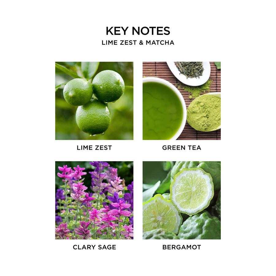 Lime Zest & Matcha Refill Duo for Pura Smart Home Fragrance Diffuser