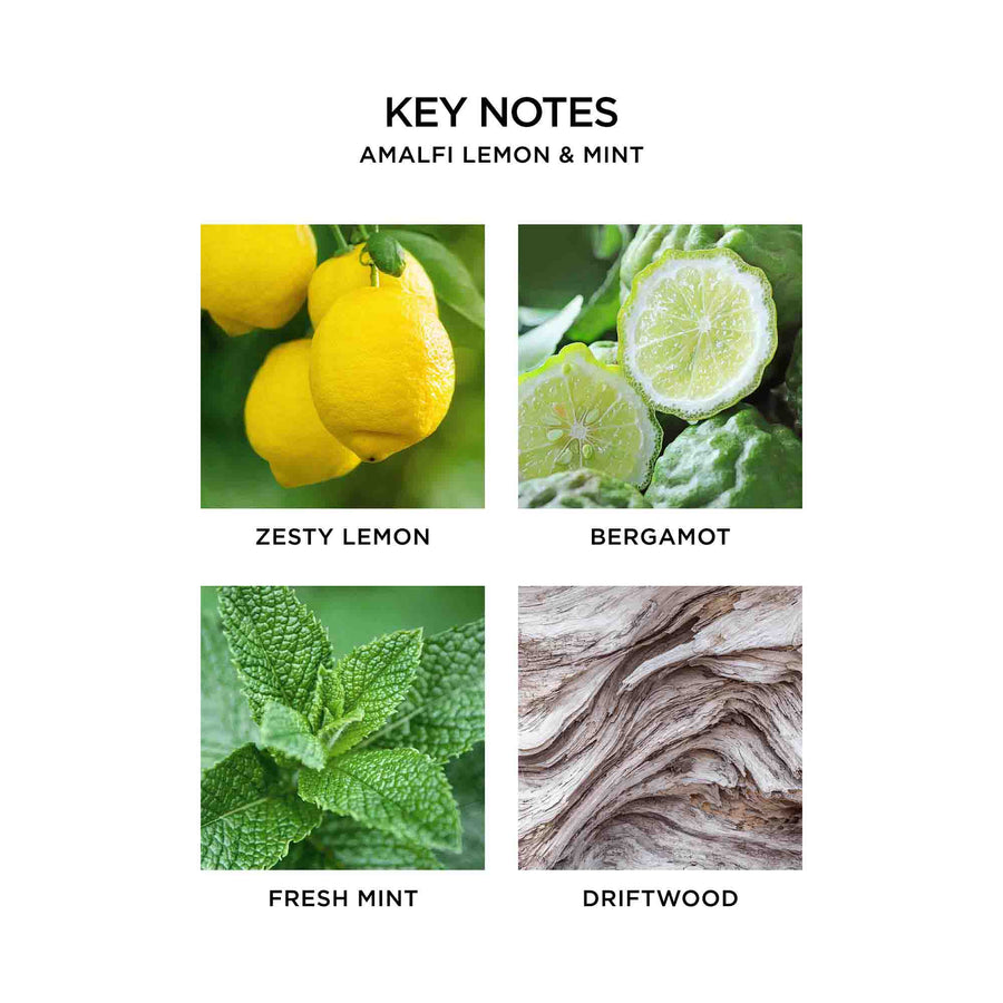 Amalfi Lemon & Mint Key Notes by NEST New York