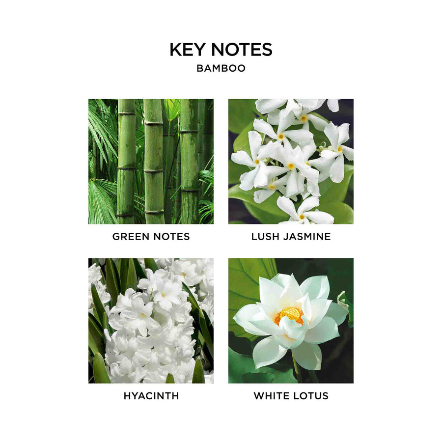 Bamboo Key Notes by NEST New York