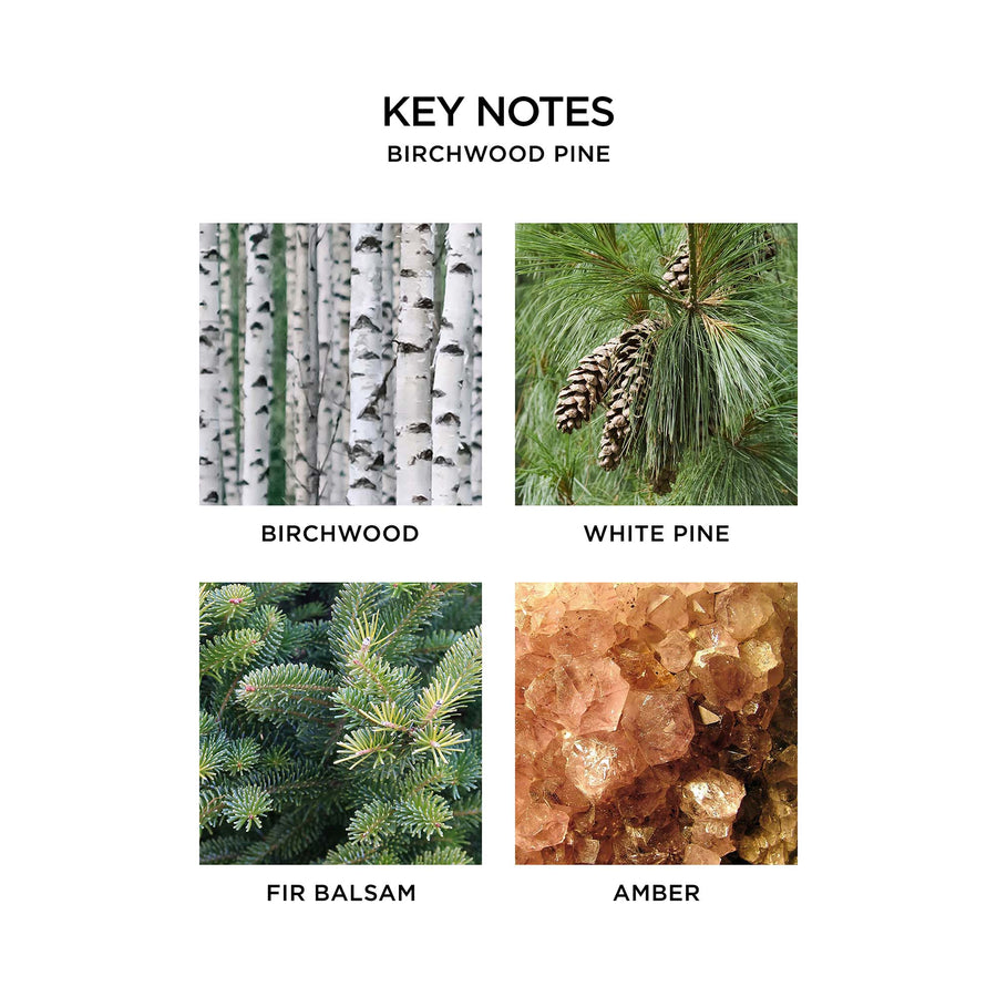 Birchwood Pine Key Notes by NEST New York