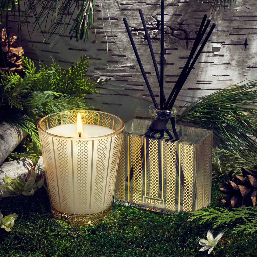 Birchwood Pine Reed Diffuser and Classic Candle by NEST New York with greenery