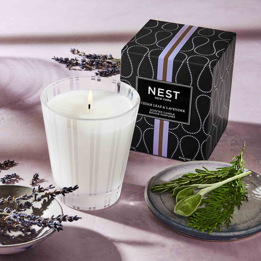 Cedar Leaf & Lavender Classic Candle by NEST New York with cedar and lavender