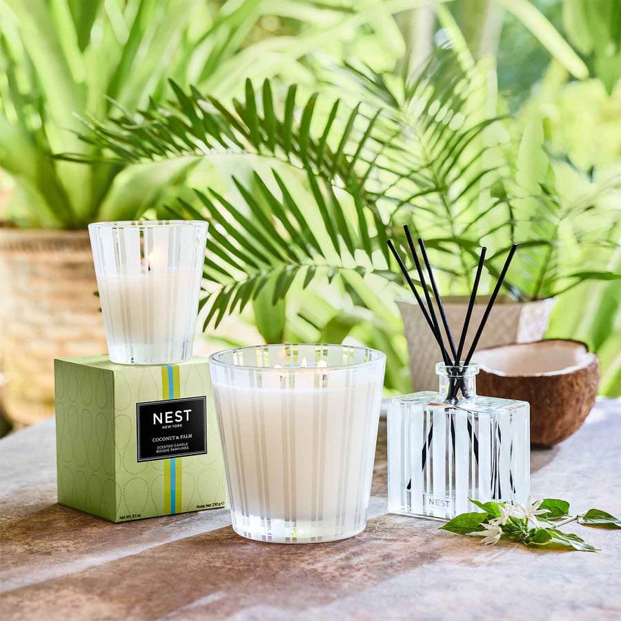 Coconut & Palm Classic Candle, 3-Wick Candle, and Reed Diffuser by NEST New York with coconut and palm leaves