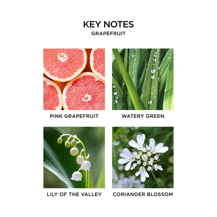 Grapefruit Key Notes by NEST New York