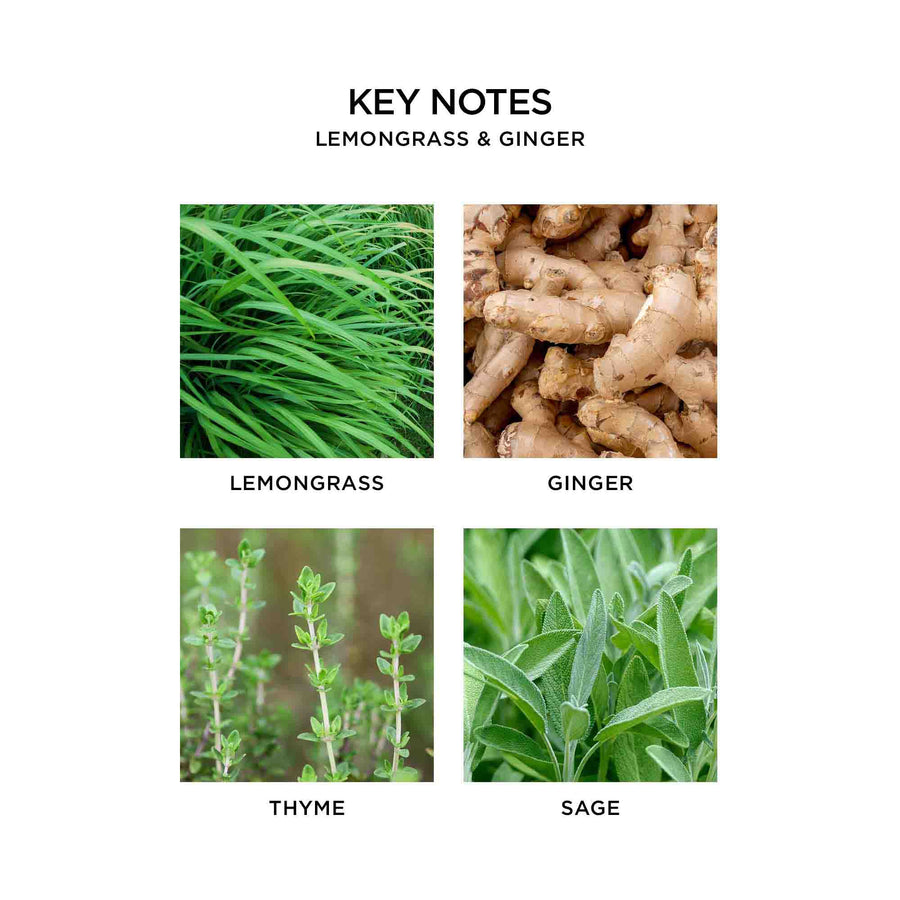Lemongrass & Ginger Key Notes by NEST New York