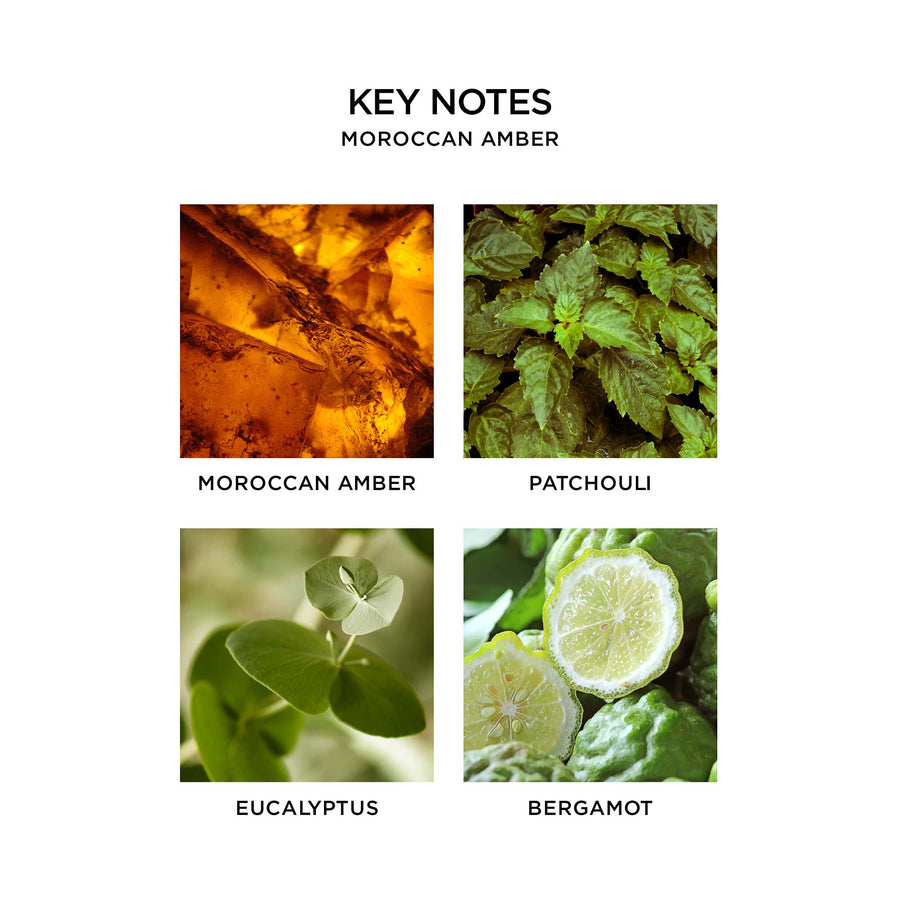 Moroccan Amber by NEST New York key notes