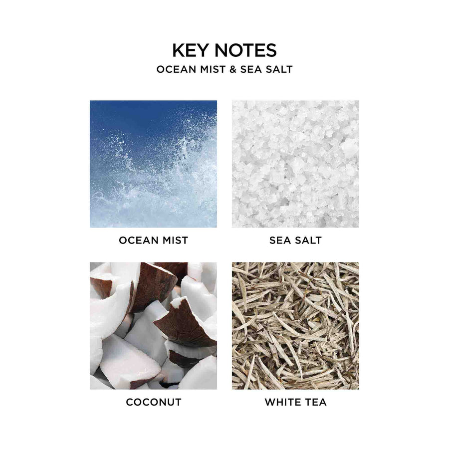 Ocean Mist & Sea Salt Key Notes by NEST New York