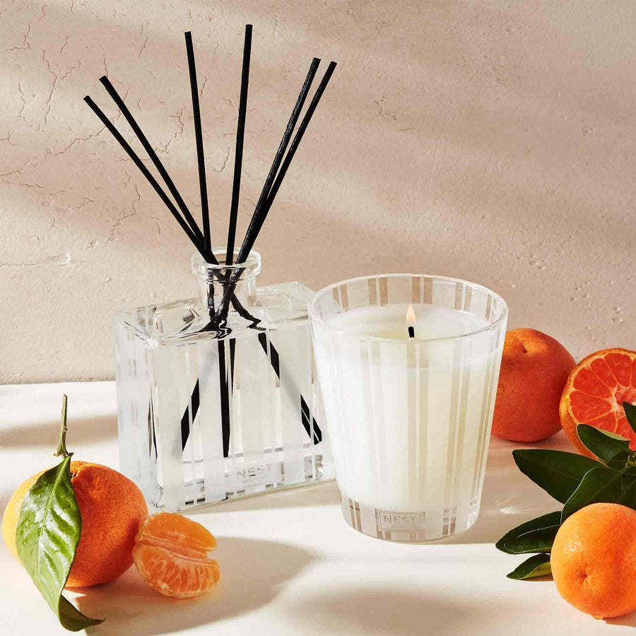 Sicilian Tangerine Reed Diffuser and Classic Candle by NEST New York with tangerines