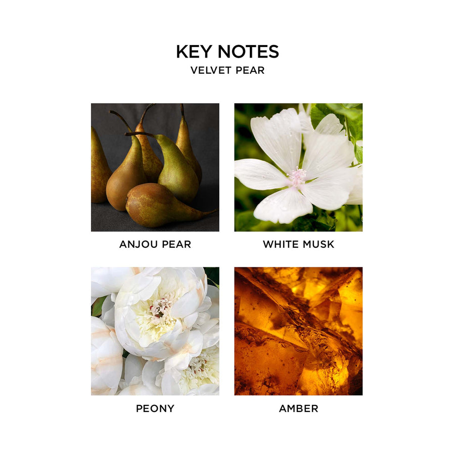 Velvet Pear by NEST New York Key Notes