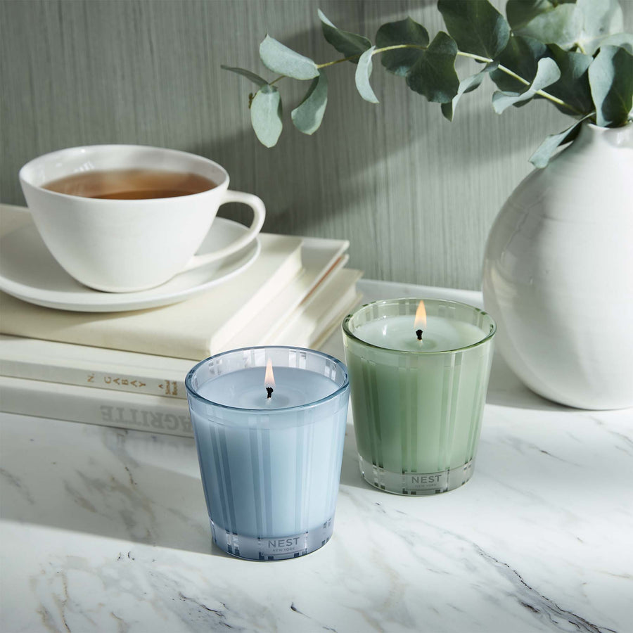 Wild Mint & Eucalyptus and Driftwood & Chamomile Classic Candles by NEST New York with tea, books, and vase