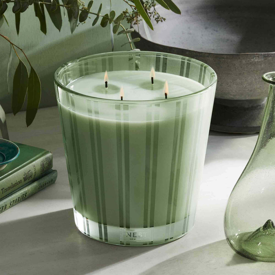 Wild Mint & Eucalyptus Luxury Candle by NEST New York with vase and books