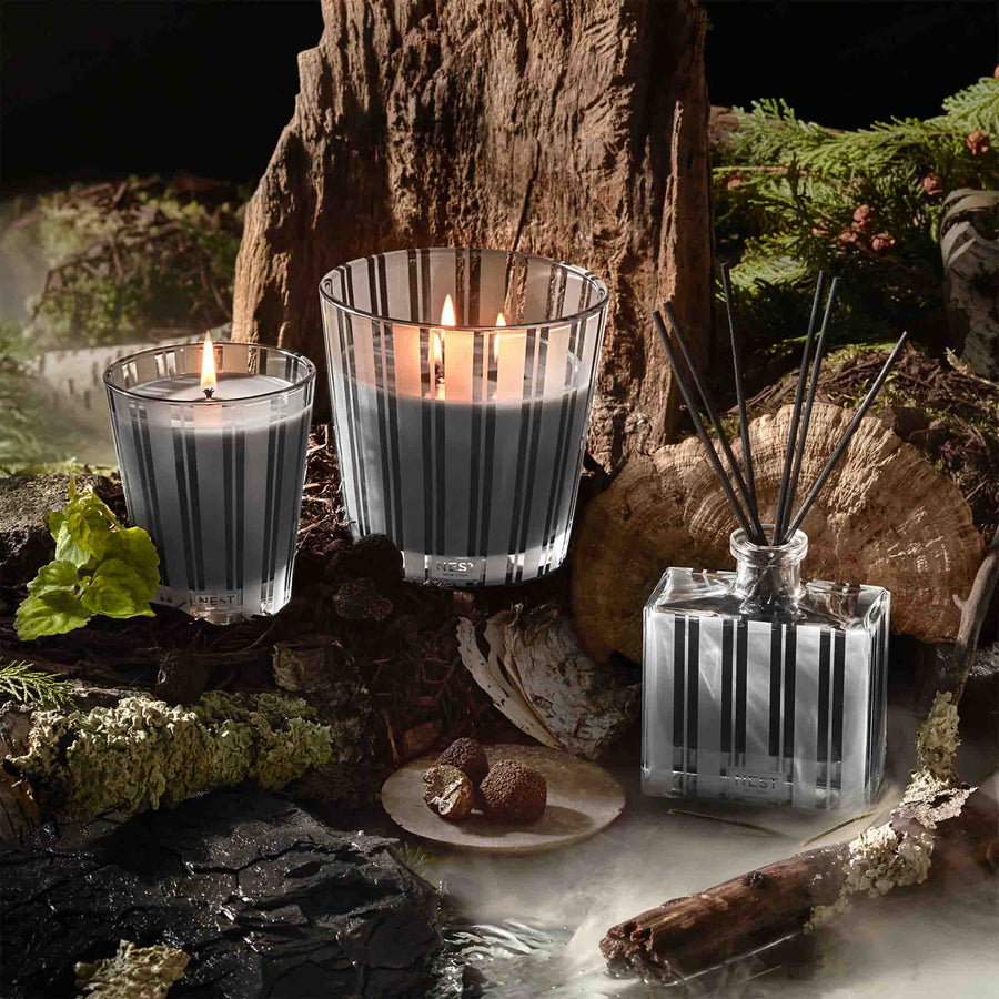 Charcoal Woods 3-Wick Candle, Classic Candle, and Reed Diffuser by NEST New York with forest and charcoal