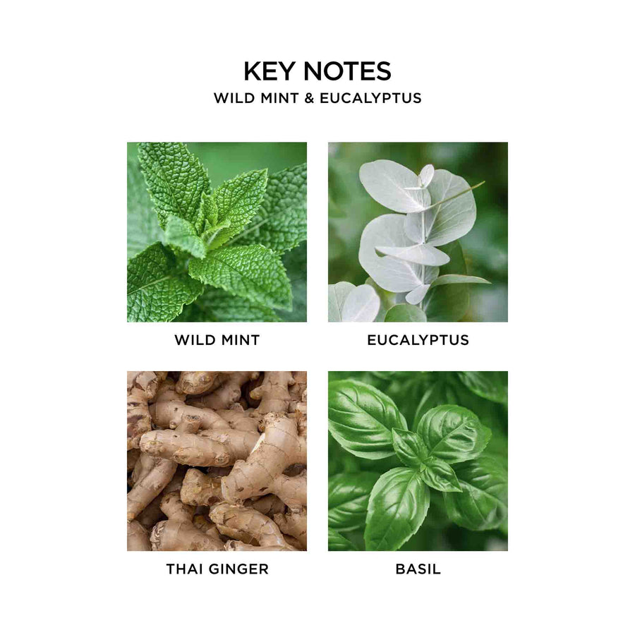 Wild Mint & Eucalyptus Key Notes by NEST New York